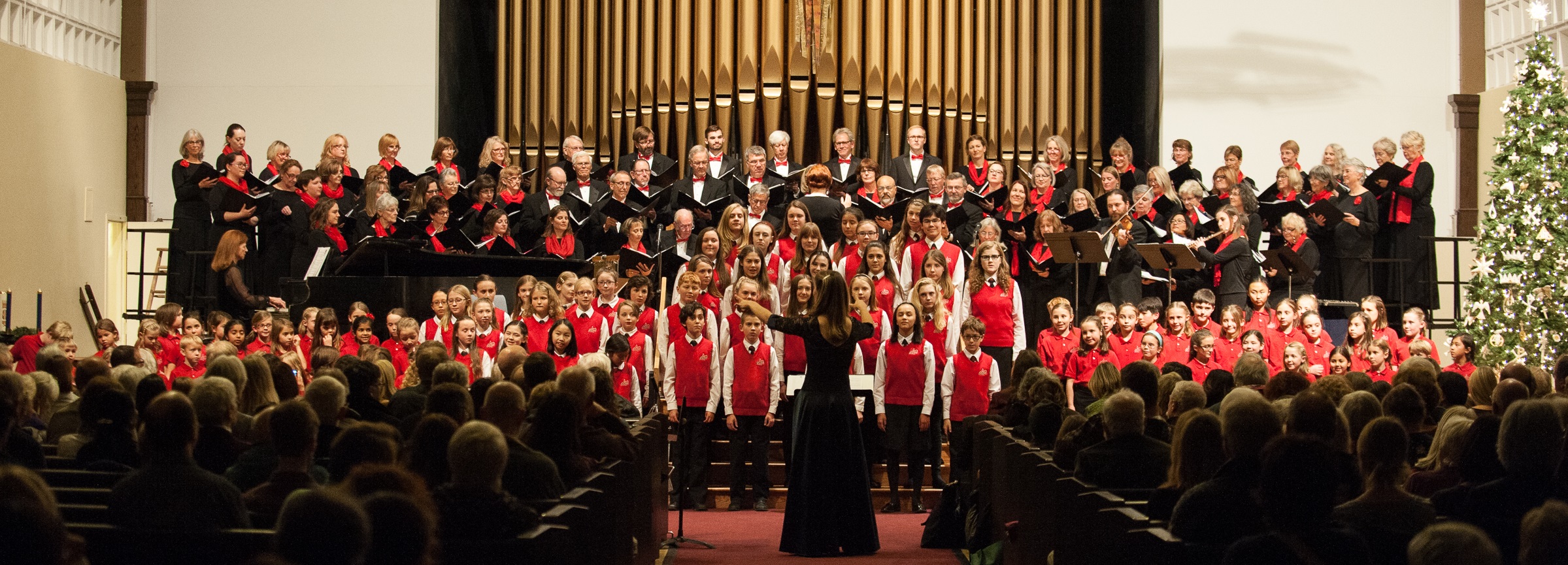 © Glenn Ross | www.glennrossphoto.com