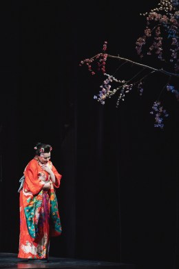 Madama Butterfly - CCO - Amanda Tipton Photography